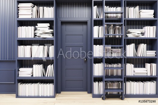 Picture of Home library with a ladder black